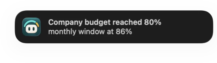 A notification that a budget crossed 80%